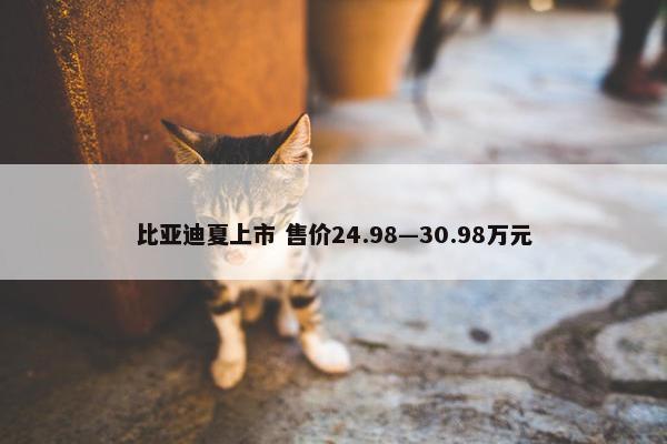 比亚迪夏上市 售价24.98—30.98万元