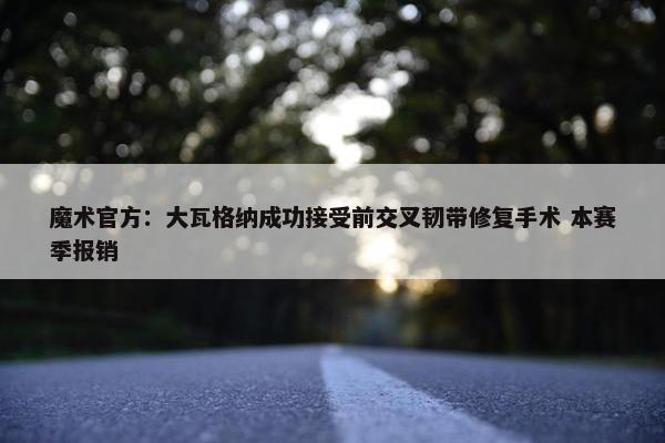 魔术官方：大瓦格纳成功接受前交叉韧带修复手术 本赛季报销