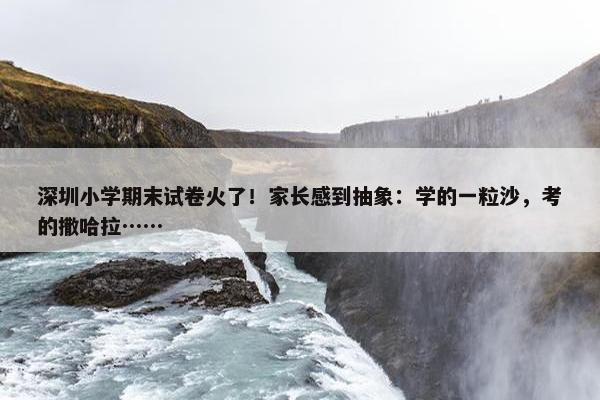 深圳小学期末试卷火了！家长感到抽象：学的一粒沙，考的撒哈拉……