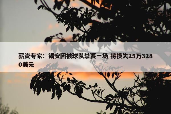 薪资专家：锡安因被球队禁赛一场 将损失25万3280美元