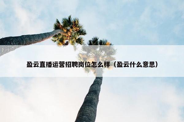 盈云直播运营招聘岗位怎么样（盈云什么意思）