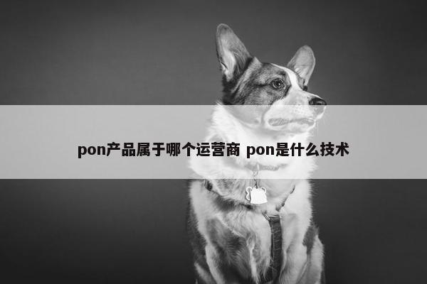 pon产品属于哪个运营商 pon是什么技术