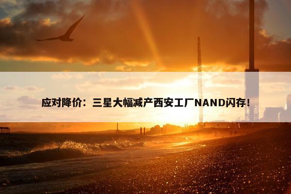 应对降价：三星大幅减产西安工厂NAND闪存！