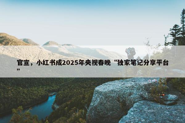 官宣，小红书成2025年央视春晚“独家笔记分享平台”