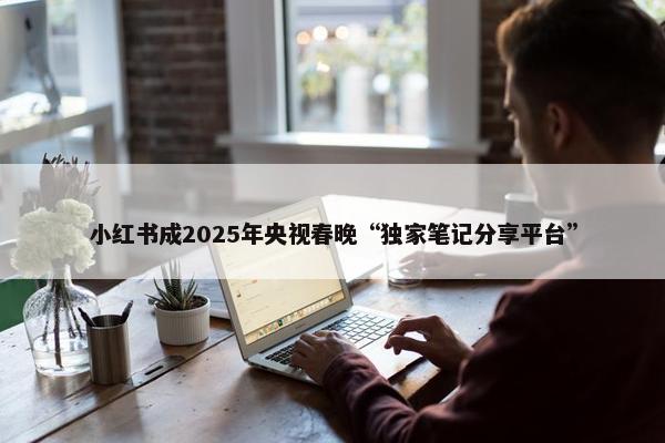 小红书成2025年央视春晚“独家笔记分享平台”