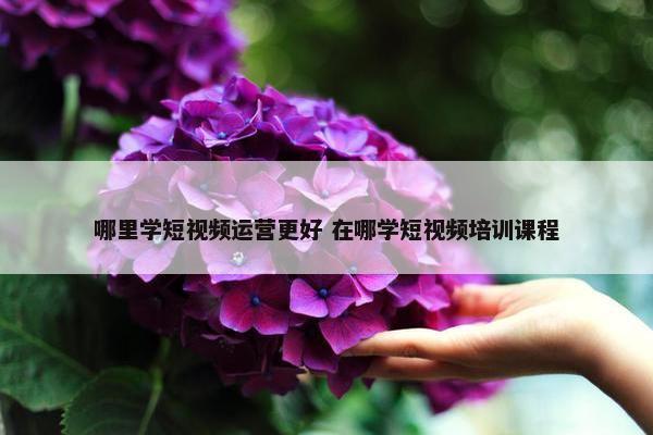 哪里学短视频运营更好 在哪学短视频培训课程