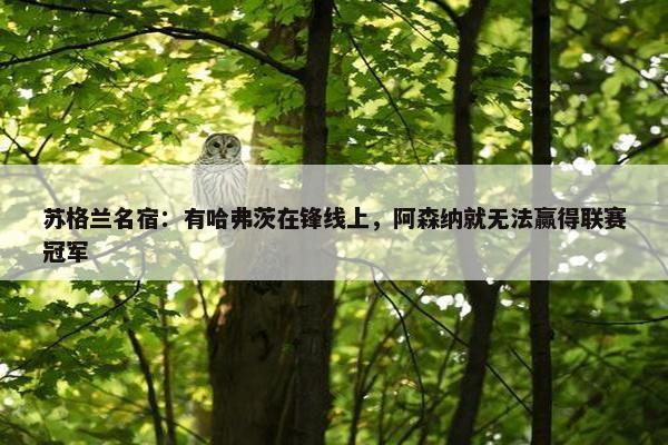 苏格兰名宿：有哈弗茨在锋线上，阿森纳就无法赢得联赛冠军