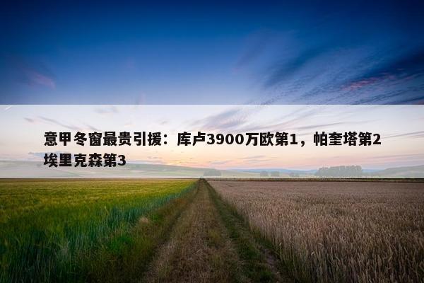 意甲冬窗最贵引援：库卢3900万欧第1，帕奎塔第2埃里克森第3