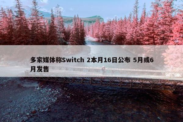 多家媒体称Switch 2本月16日公布 5月或6月发售