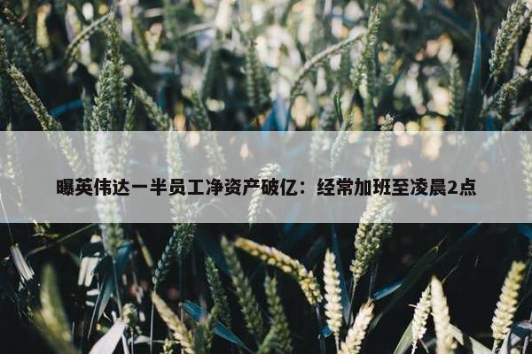 曝英伟达一半员工净资产破亿：经常加班至凌晨2点