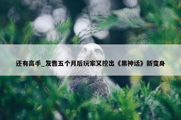 还有高手_发售五个月后玩家又挖出《黑神话》新变身