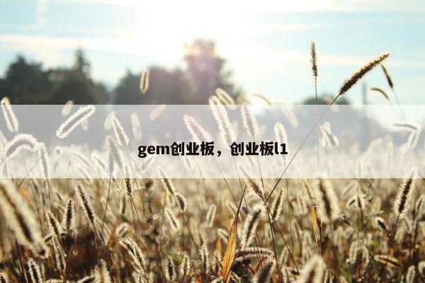 gem创业板，创业板l1