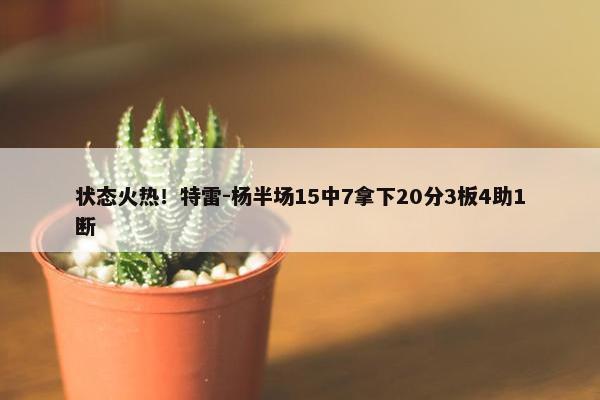 状态火热！特雷-杨半场15中7拿下20分3板4助1断