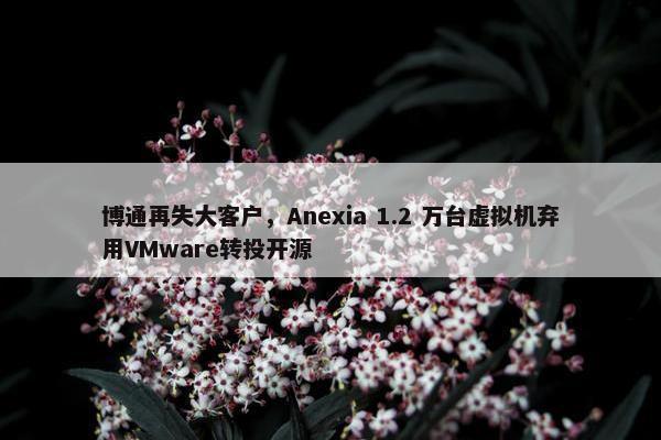 博通再失大客户，Anexia 1.2 万台虚拟机弃用VMware转投开源