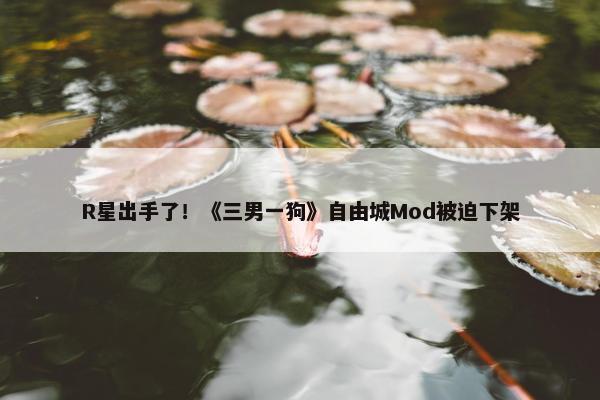 R星出手了！《三男一狗》自由城Mod被迫下架