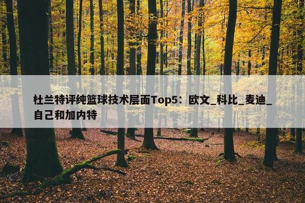 杜兰特评纯篮球技术层面Top5：欧文_科比_麦迪_自己和加内特