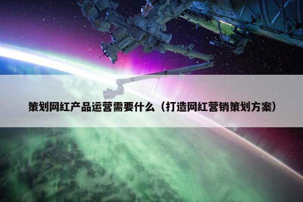 策划网红产品运营需要什么（打造网红营销策划方案）