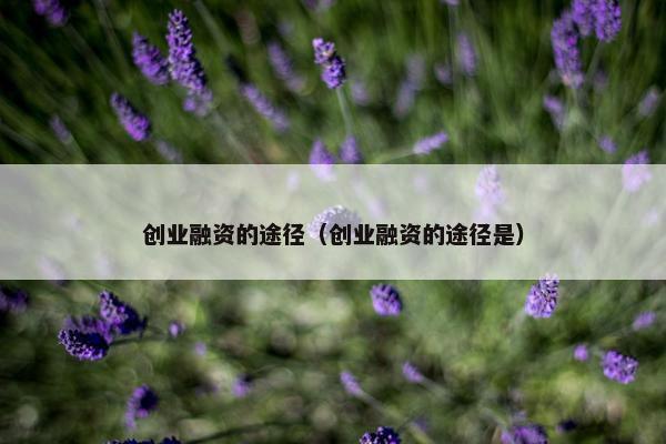 创业融资的途径（创业融资的途径是）