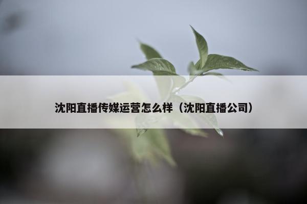 沈阳直播传媒运营怎么样（沈阳直播公司）