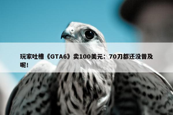 玩家吐槽《GTA6》卖100美元：70刀都还没普及呢！