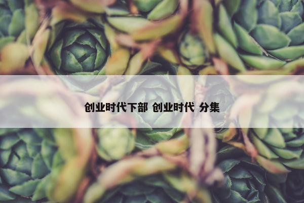 创业时代下部 创业时代 分集