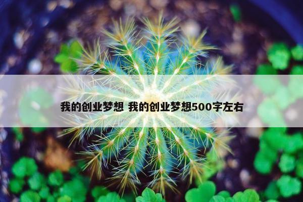 我的创业梦想 我的创业梦想500字左右