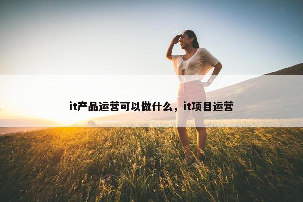 it产品运营可以做什么，it项目运营