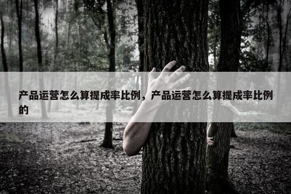 产品运营怎么算提成率比例，产品运营怎么算提成率比例的