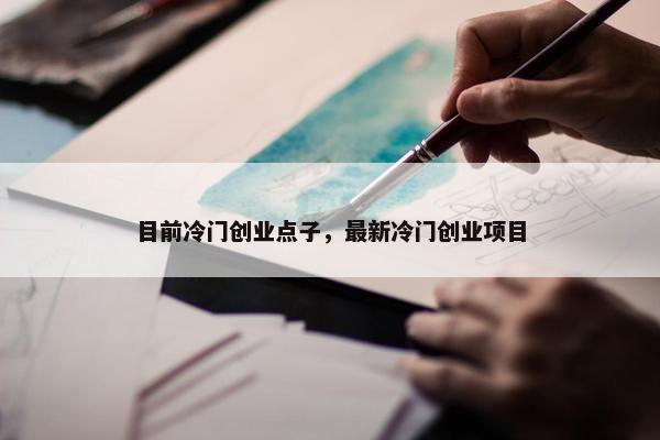 目前冷门创业点子，最新冷门创业项目