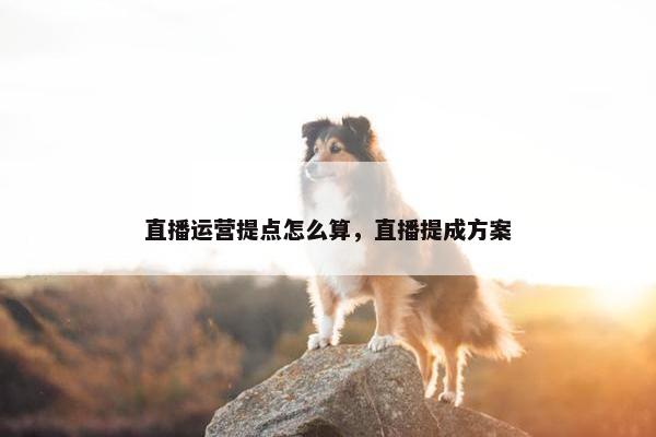 直播运营提点怎么算，直播提成方案